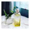 Hermes Le Jardin de Monsieur Li EDT