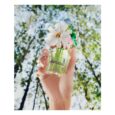 Marc Jacobs Daisy Wild EDP