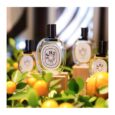 Diptyque Eau Des Sens EDT