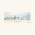 Set d’Annam Discovery