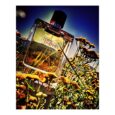 Terre D’Hermes Eau Intense Vetiver EDP