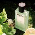 Loewe Aire Sutileza Elixir EDP